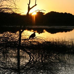 Fotoğraf Safari Macerası