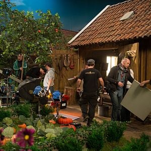 Fotoğraf Fırıldak Kedi Findus