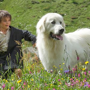 Fotoğraf Félix Bossuet