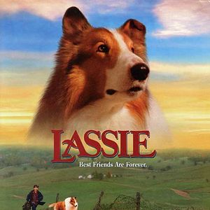 Fotoğraf Lassie