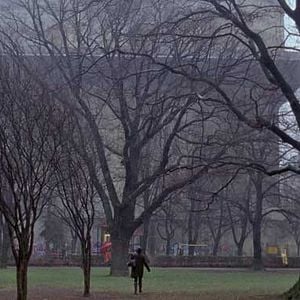 Fotoğraf Ziyaret Saatleri