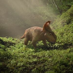 Fotoğraf Dinozorlarla Yürümek 3D