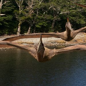 Fotoğraf Dinozorlarla Yürümek 3D