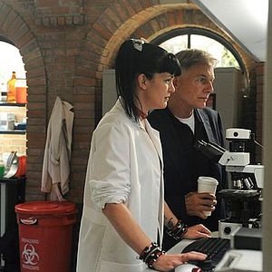 Fotoğraf Pauley Perrette