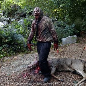 Fotoğraf The Walking Dead