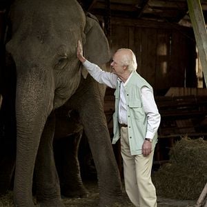 Fotoğraf Hundraåringen som klev ut genom fönstret och försvann