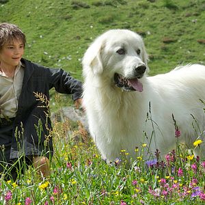 Fotoğraf Félix Bossuet