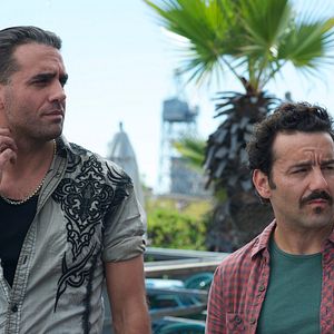 Fotoğraf Blue Jasmine