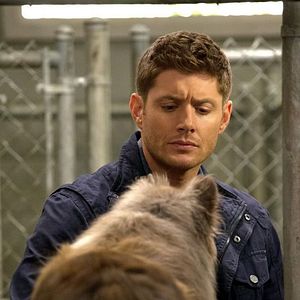 Fotoğraf Jensen Ackles