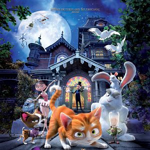 Fotoğraf Büyüler Evi: Sihirbaz Kedi