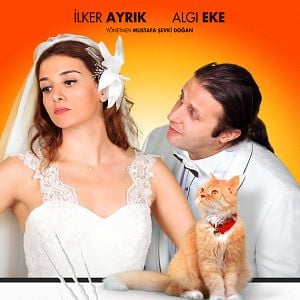 Fotoğraf Kedi Özledi