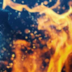 Fotoğraf The Hunting