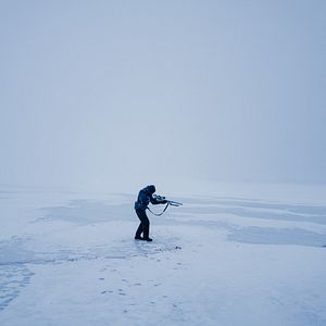 Fotoğraf Kara Yengeç