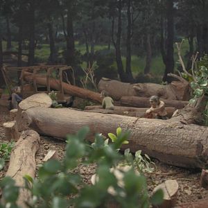 Fotoğraf Everything Will Be OK