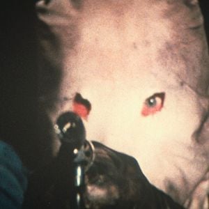 Fotoğraf The Town That Dreaded Sundown