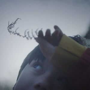 Fotoğraf The Reason I Jump