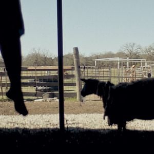 Fotoğraf The Dark and the Wicked