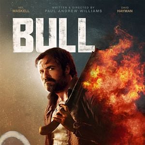 Fotoğraf Bull
