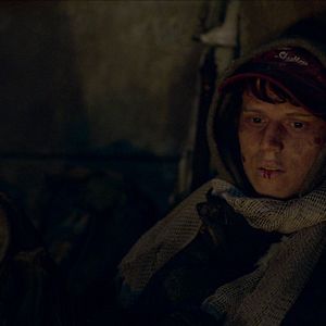 Fotoğraf Kara Yengeç