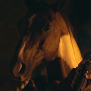 Fotoğraf No Man’s Land