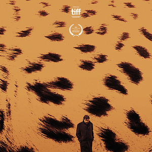 Fotoğraf Anadolu Leoparı