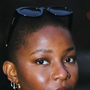 Fotoğraf Miveck Packa