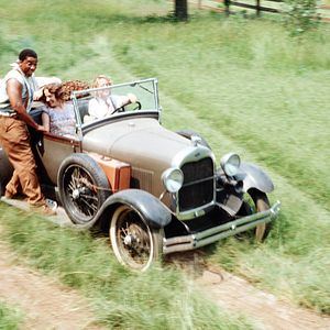 Fotoğraf Kızarmış Yeşil Domatesler