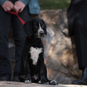 Fotoğraf Masumlar Apartmanı