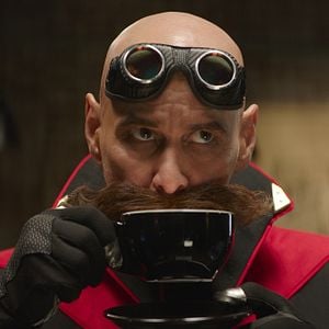 Fotoğraf Kirpi Sonic 2