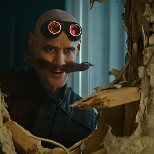 Fotoğraf Kirpi Sonic 2