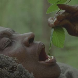 Fotoğraf Elsa Wolliaston