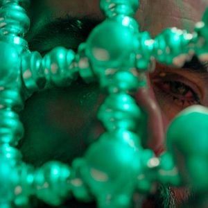 Fotoğraf Kutsal Örümcek