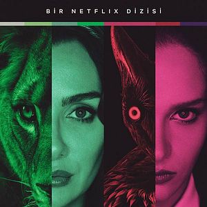 Fotoğraf Kuş Uçuşu