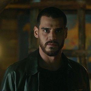 Fotoğraf Yalnız Kurt