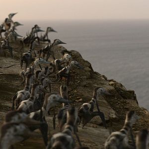 Fotoğraf Prehistoric Planet