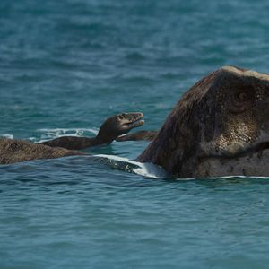 Fotoğraf Prehistoric Planet