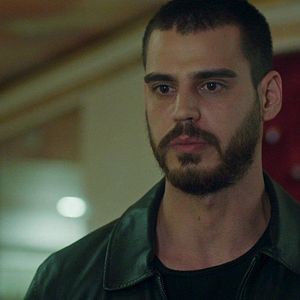 Fotoğraf Yalnız Kurt