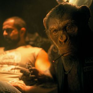 Fotoğraf The Umbrella Academy