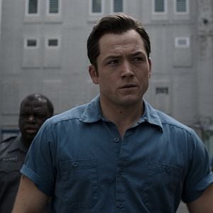 Fotoğraf Black Bird