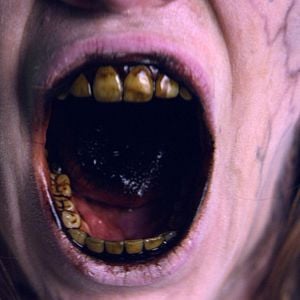 Fotoğraf The Resort