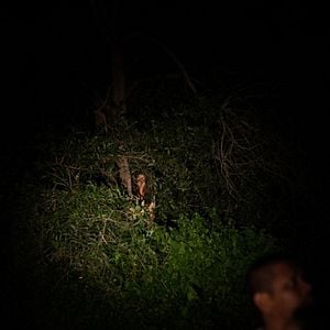 Fotoğraf The Medium