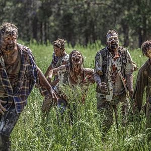 Fotoğraf Wyrmwood: Apocalypse