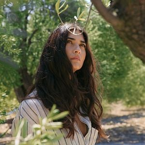 Fotoğraf Zeytin Ağacı