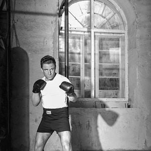 Fotoğraf The Survivor