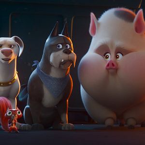 Fotoğraf DC Süper Evciller Takımı