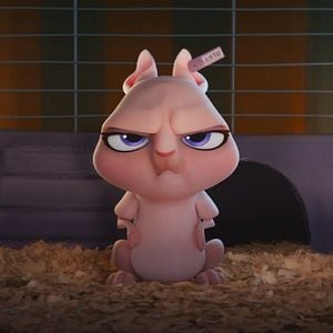 Fotoğraf DC Süper Evciller Takımı