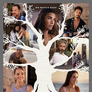 Fotoğraf Zeytin Ağacı