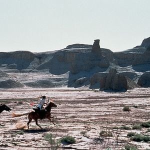 Fotoğraf Kaplan ve Ejderha