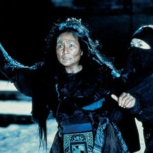 Fotoğraf Kaplan ve Ejderha