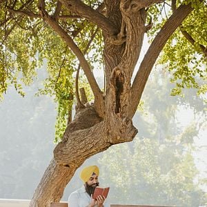 Fotoğraf Laal Singh Chaddha